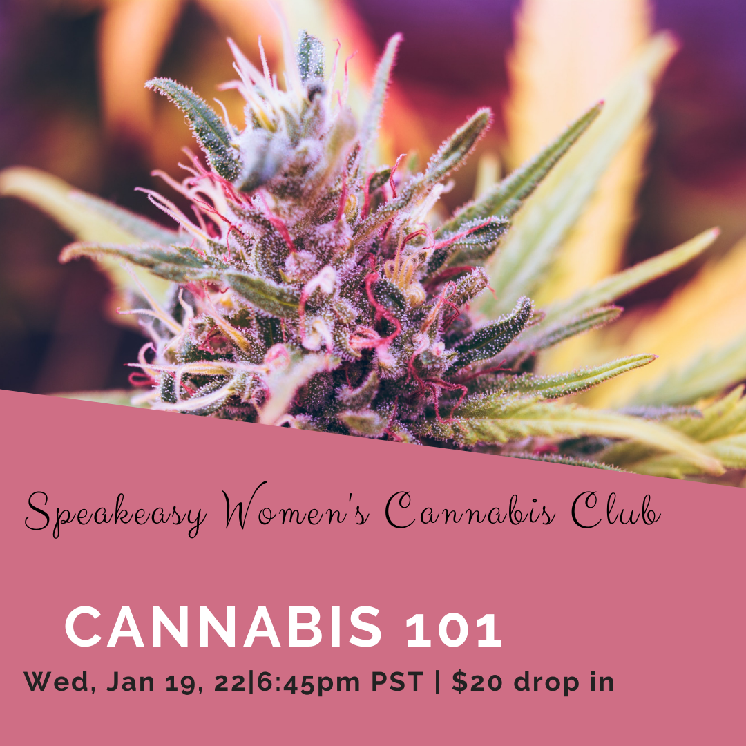 Cannabis 101 SWCC